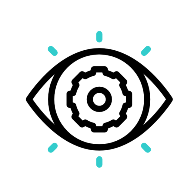 vision